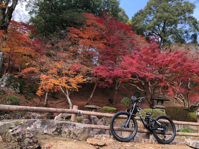 MTB ステム交換でポジション調整