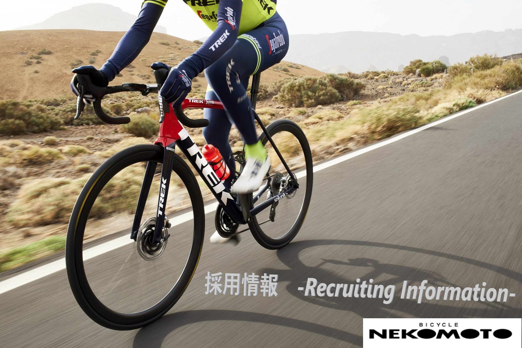 採用情報　-Recruiting Information-