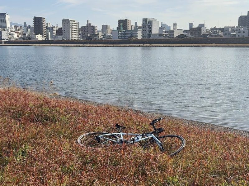 bryton rider650どんなもんなんだい？