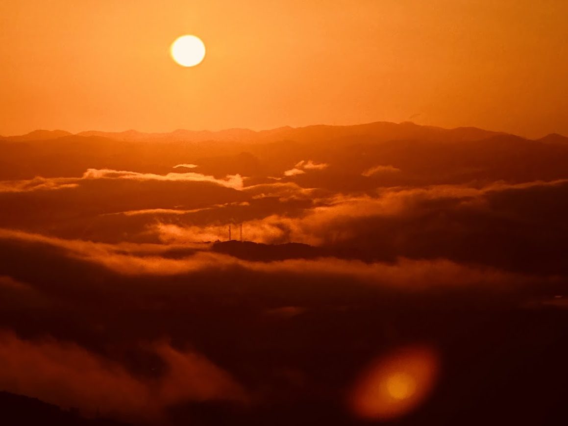 明けましておめでとうございます。(限定試乗車のご案内)